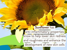 Water-resistant sunscreen from Babo Botanicals endures outdoor activity up to 80 minutes.
