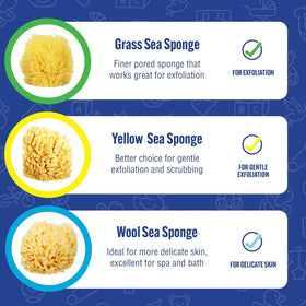 Baby Buddy sponge draining quickly after use to stay fresh.