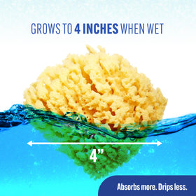 Baby Buddy biodegradable hypoallergenic sea sponge supports eco-friendly bath routines