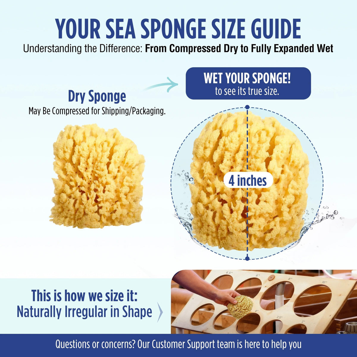 Baby Buddy florida-sourced sea sponge highlights natural origins and purity