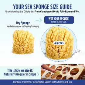 Baby Buddy florida-sourced sea sponge highlights natural origins and purity