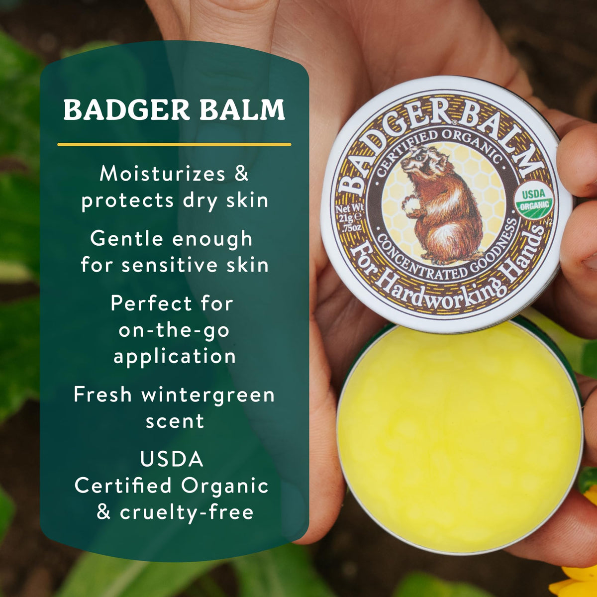 Badger Healing Balm ingredients close-up with olive oil and beeswax