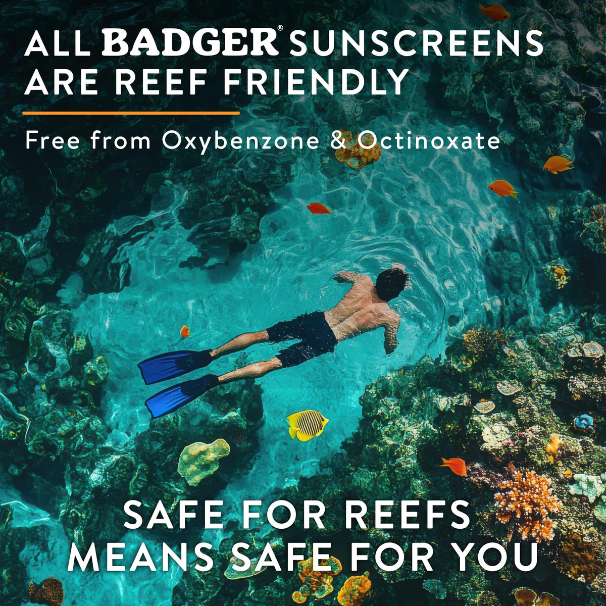 Zinc oxide and natural oils in Badger tinted sunscreen provide gentle protection.