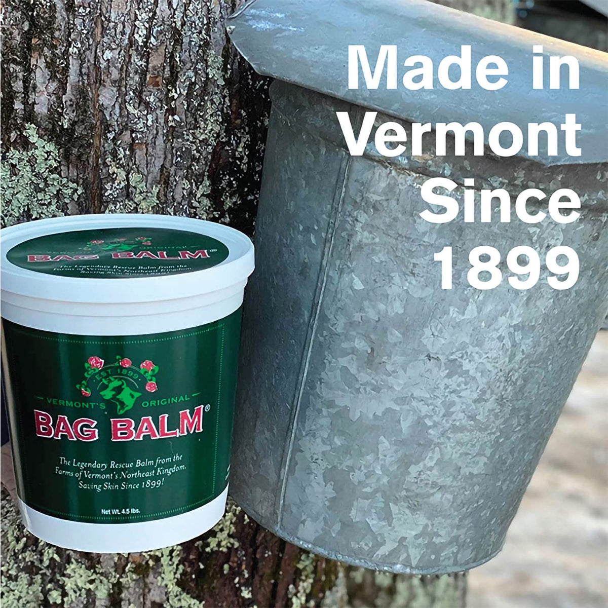 Bag Balm cracked heel focus demonstrates smoothing and lasting moisturization.