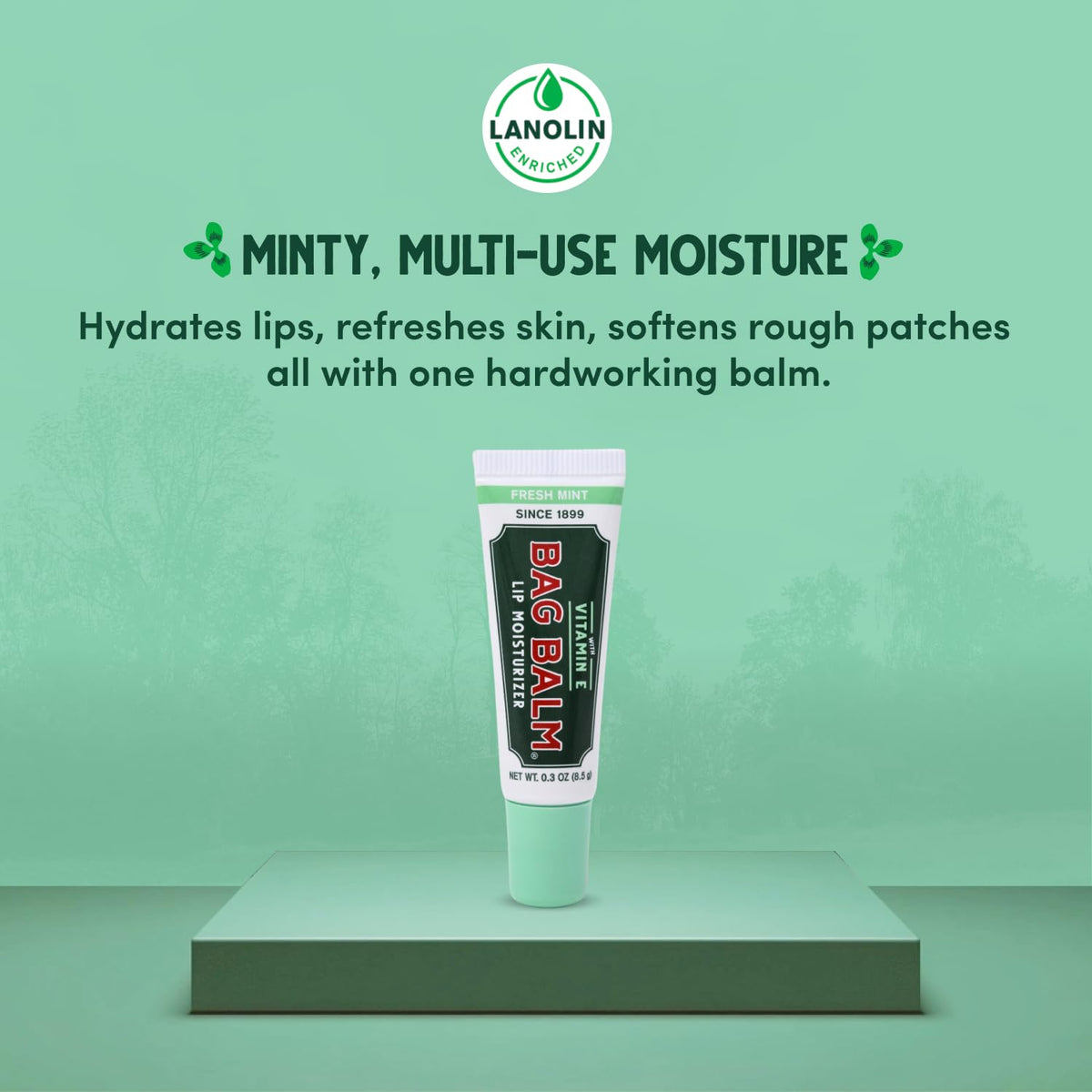 Bag Balm four-tube pack ready for lip care at home or on the go.