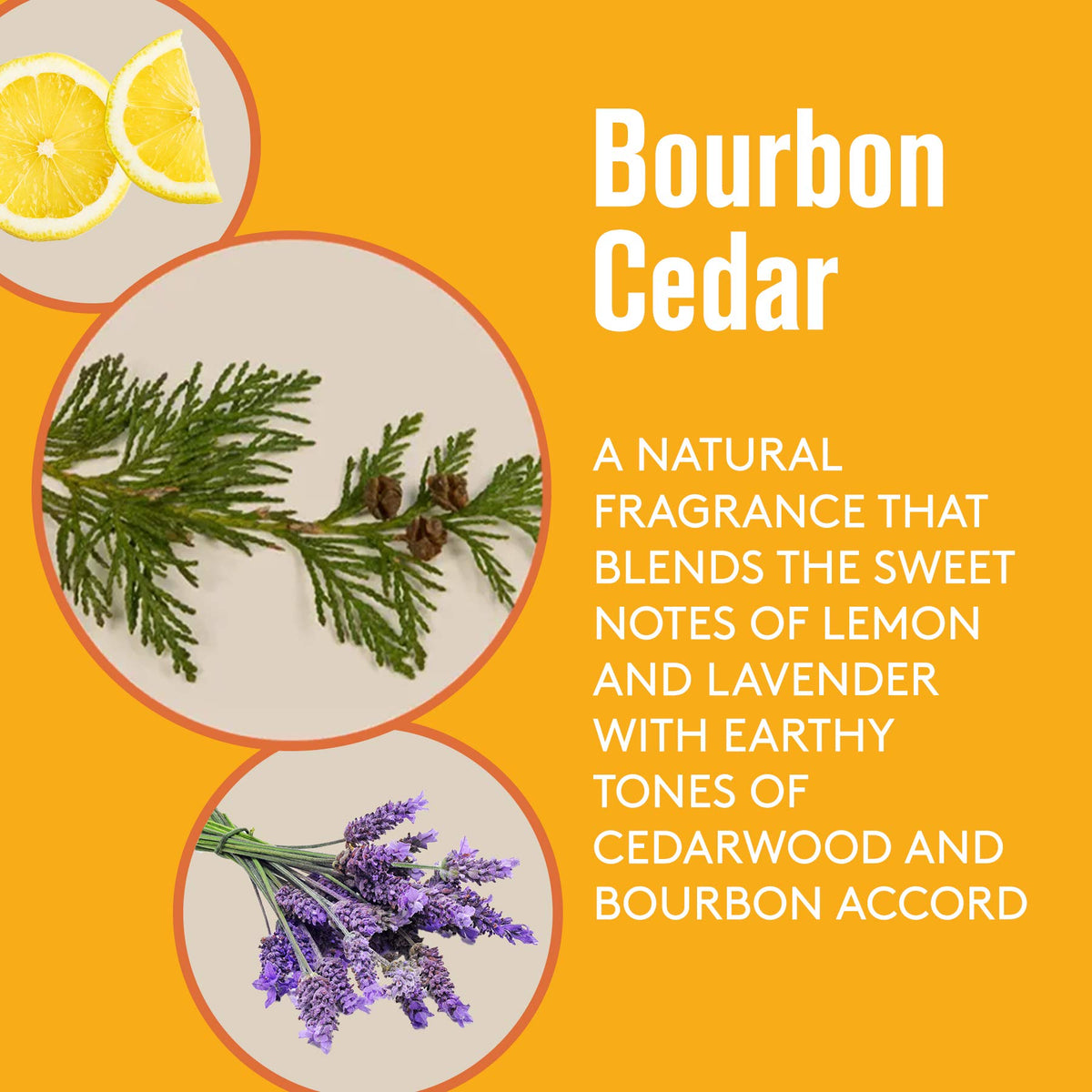 Barrel & Oak hemp seed oil ingredient close-up suggesting skin-soothing properties