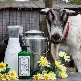Label close-up of Bates Family Farm lotion highlighting natural ingredients.
