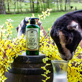 Bates Family Farm goat milk lotion texture closeup highlighting creamy formula