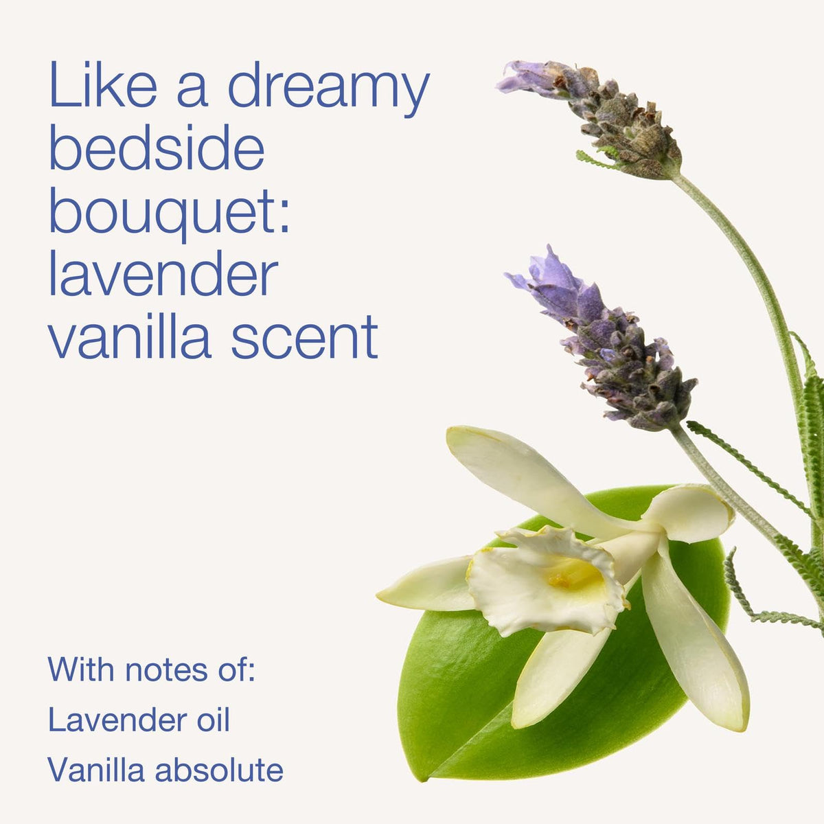 Bath and Body Works Aromatherapy Lavender Vanilla Mist body spray refreshes skin and mood