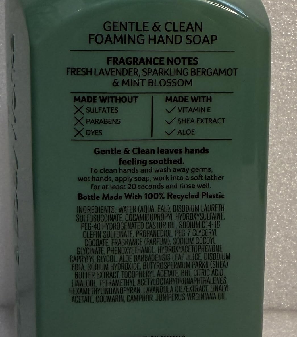 Bath and Body Works Clean House Vibes foaming hand soap pack image showing two bottles for refreshed hands.