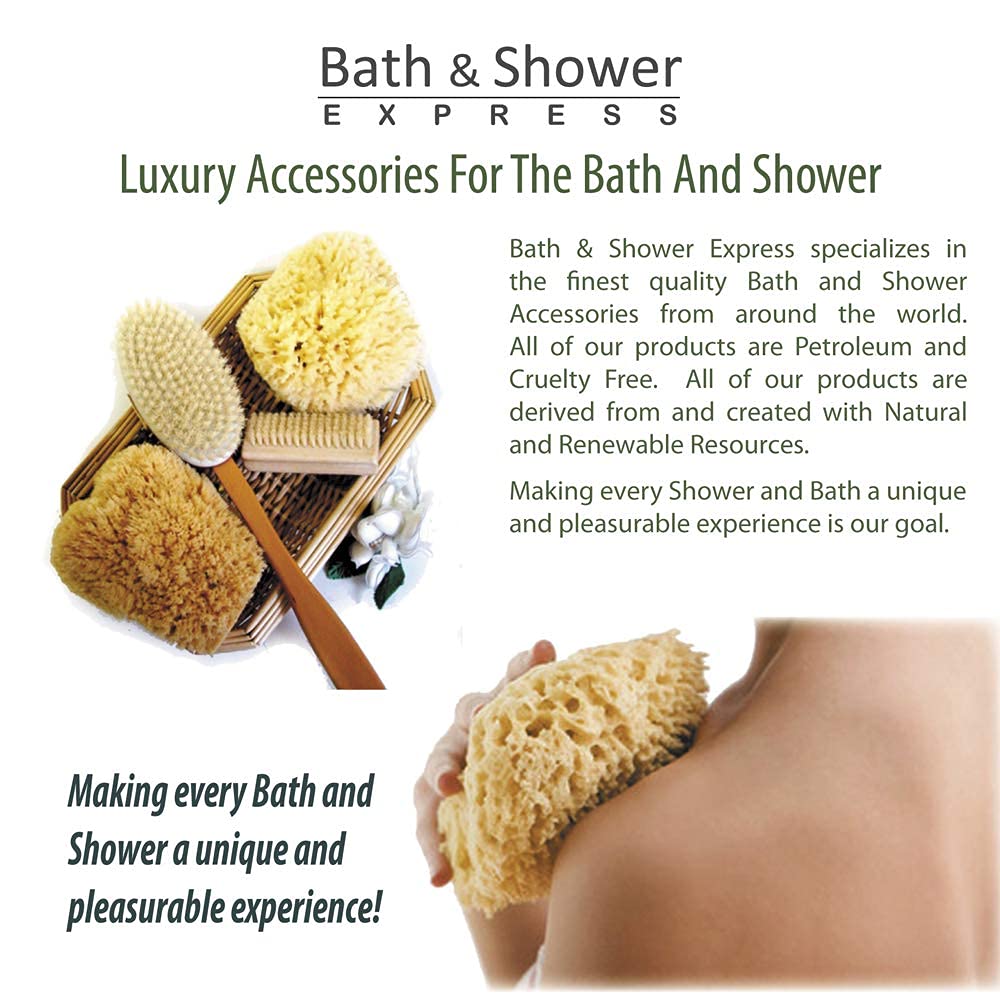 Bath & Shower Express sea wool sponge held in hand during shower