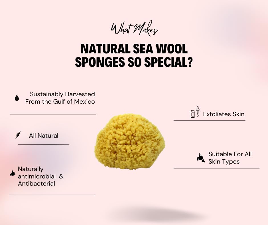 Bath & Shower Express sea wool sponge creating rich lather with shower gel