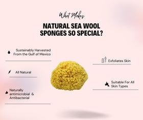 Bath & Shower Express sea wool sponge creating rich lather with shower gel