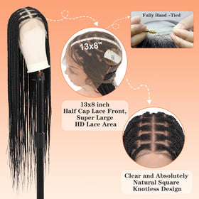 Beauart Brinbea HD lace-front box braids wig with natural-looking hairline.