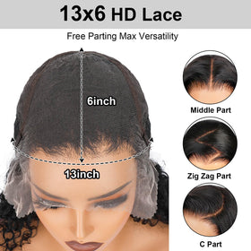 BEAUDIVA afro kinkycurly wig with natural hairline and bounce