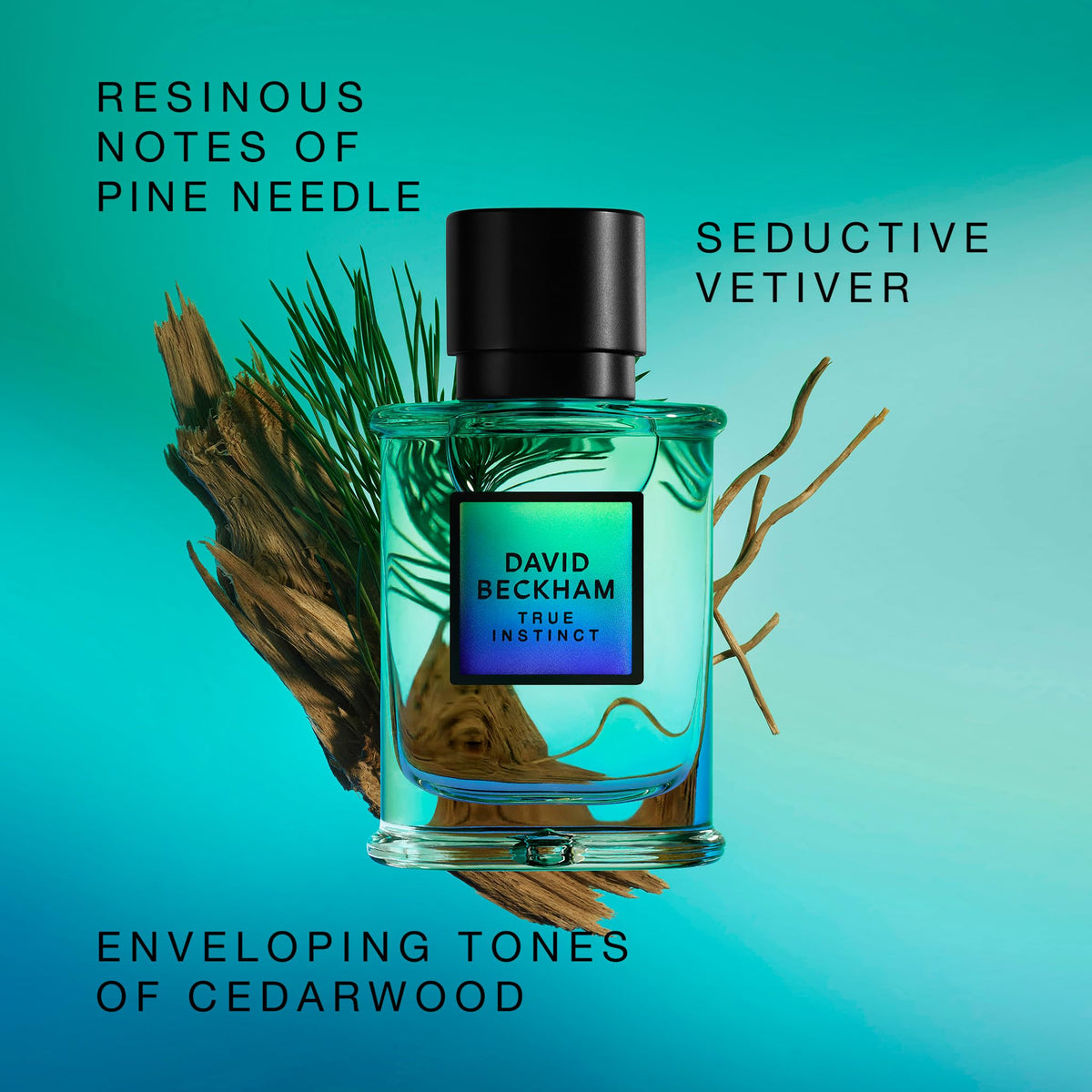 Beckham True Instinct pine needles note visualization suggesting fresh daytime wear
