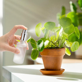 Bekith refillable bottles support DIY aromatherapy and beauty mixtures.
