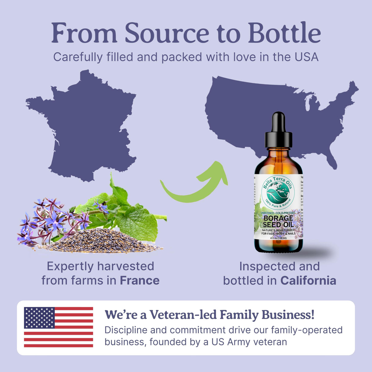 Hands applying Bella Terra Oils borage seed oil