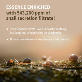 Close-up of ingredients label highlighting snail mucin and bee venom benefits.