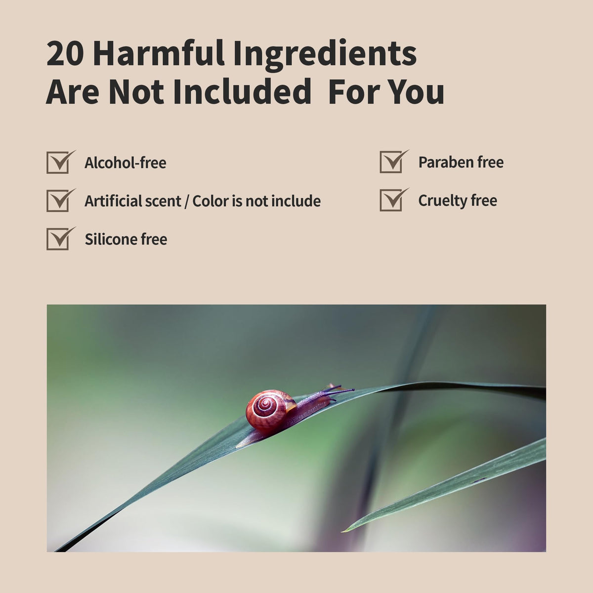 Recyclable packaging image communicates Benton's clean beauty and planet-friendly approach.