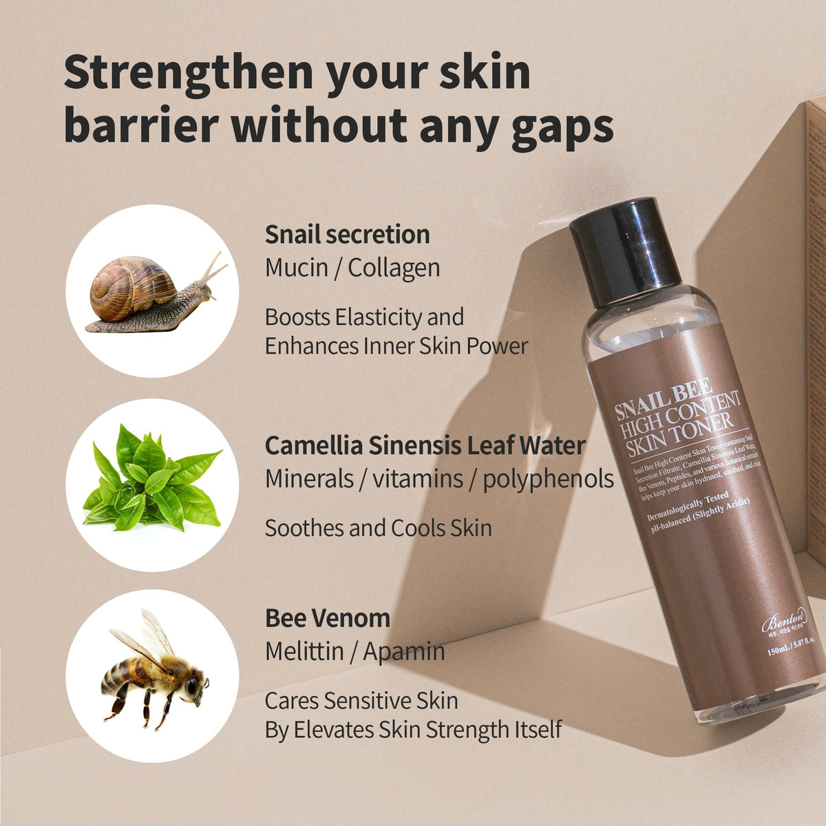 BENTON Snail Bee High Content Toner usage application demonstrates refreshing routine