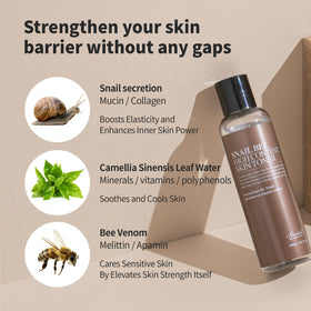 BENTON Snail Bee High Content Toner usage application demonstrates refreshing routine
