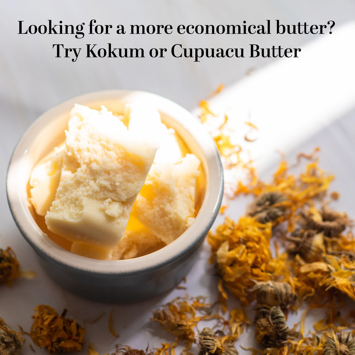Better Shea Butter raw cocoa butter blocks for scars and stretch mark routines