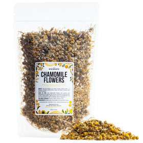 Better Shea Butter dried chamomile flowers bulk for soothing tea and skin care.