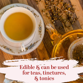 Better Shea Butter dried chamomile flowers for oil infusions and soothing salves.