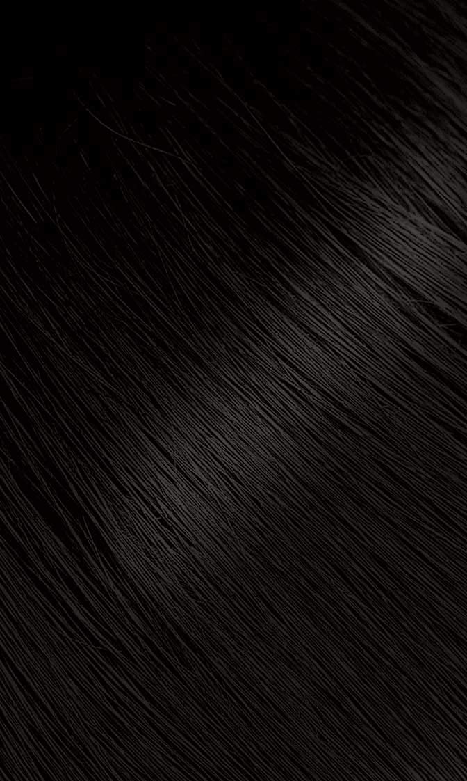 Bigen #57 Dark Brown powder mixed with water activates color.