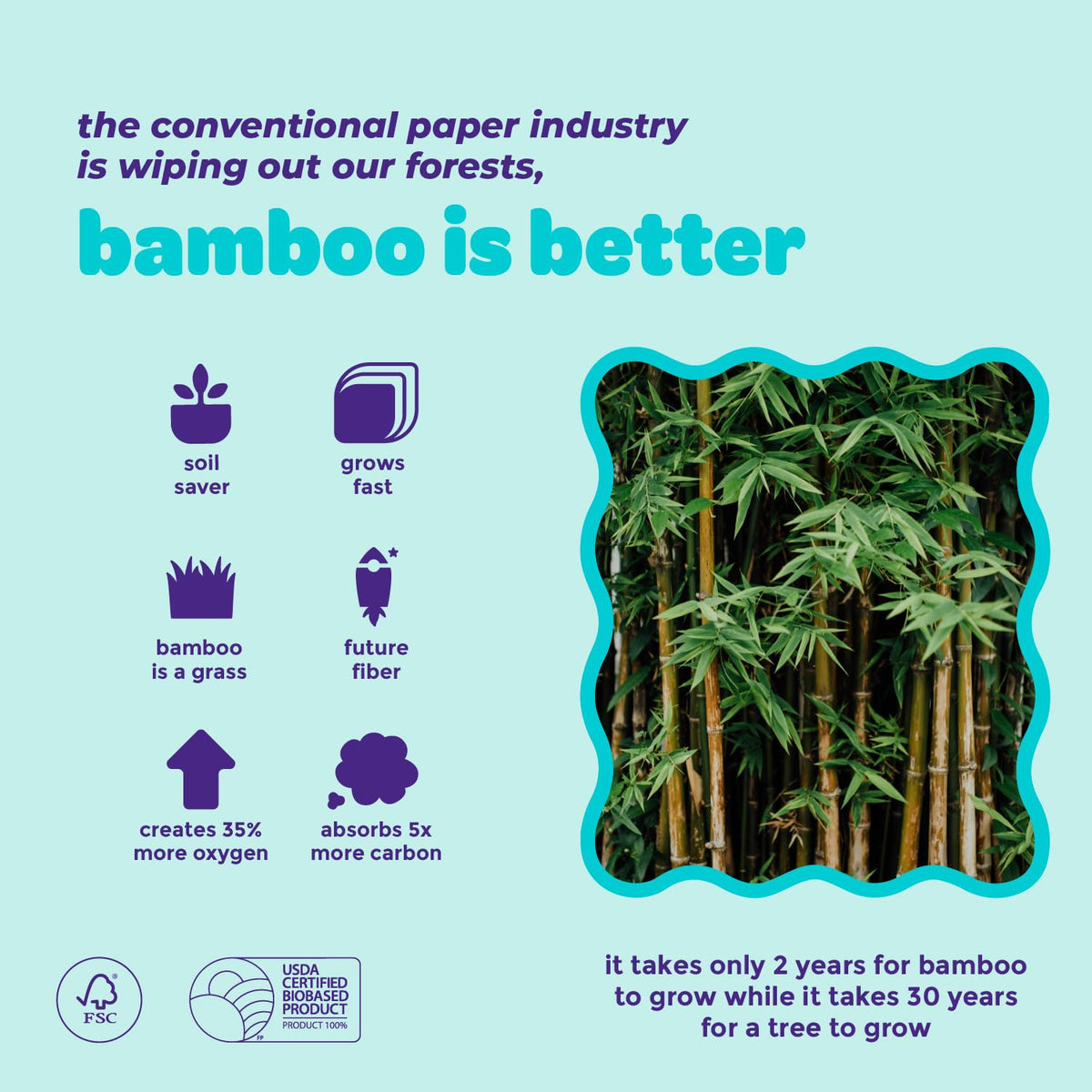 Bim Bam Boo sustainable tissue pack helps reduce waste with bamboo fibers.