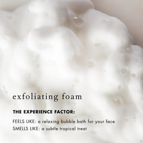 Enzyme blend in Bioelements cleanser with pumpkin papaya pineapple imagery.