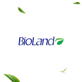 Bioland Aloe Vera Gel in daily routine setup suggests use for face and body hydration.