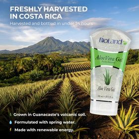 Bioland Aloe Vera Gel texture on skin illustrating deep hydration without greasiness.