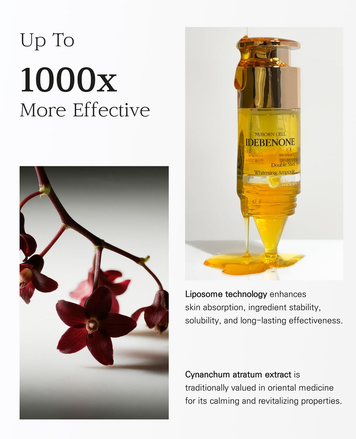 BLANC DUBU Nuborn Cell Idebenone Ampoule with hydrolyzed collagen for hydration
