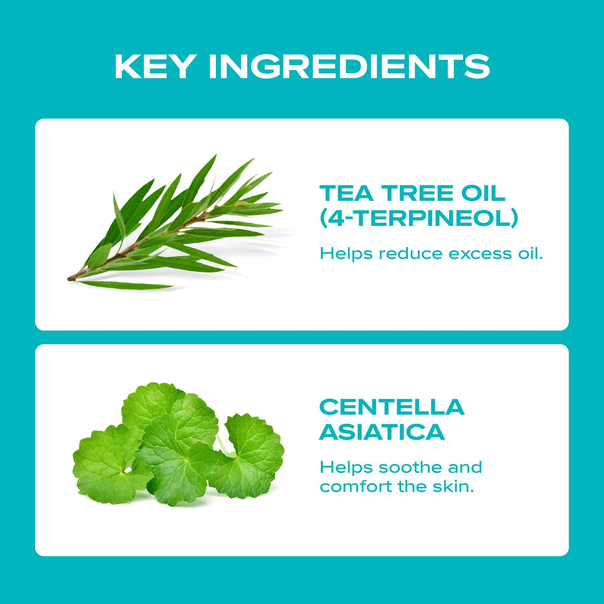 BLANC NATURE Magic Tea Tree Oil application hand demonstrates easy daily spot use