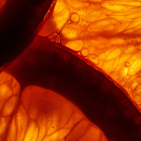 Bliss Glow Rush texture closeup reveals smooth, nourished skin feel.