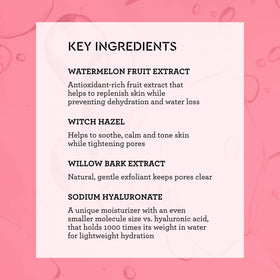 Bliss What a Melon Toner witch hazel image calms skin without drying.