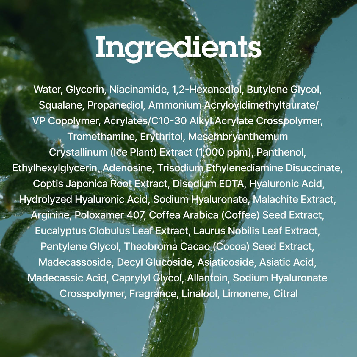1.68 oz Blithe Iceplant packaging for travel-friendly use.