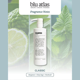 Blu Atlas bottle back view highlighting USA-made, cruelty-free claim