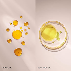 Bobbi Brown Extra Face Oil top view shows a compact bottle ideal for travel.