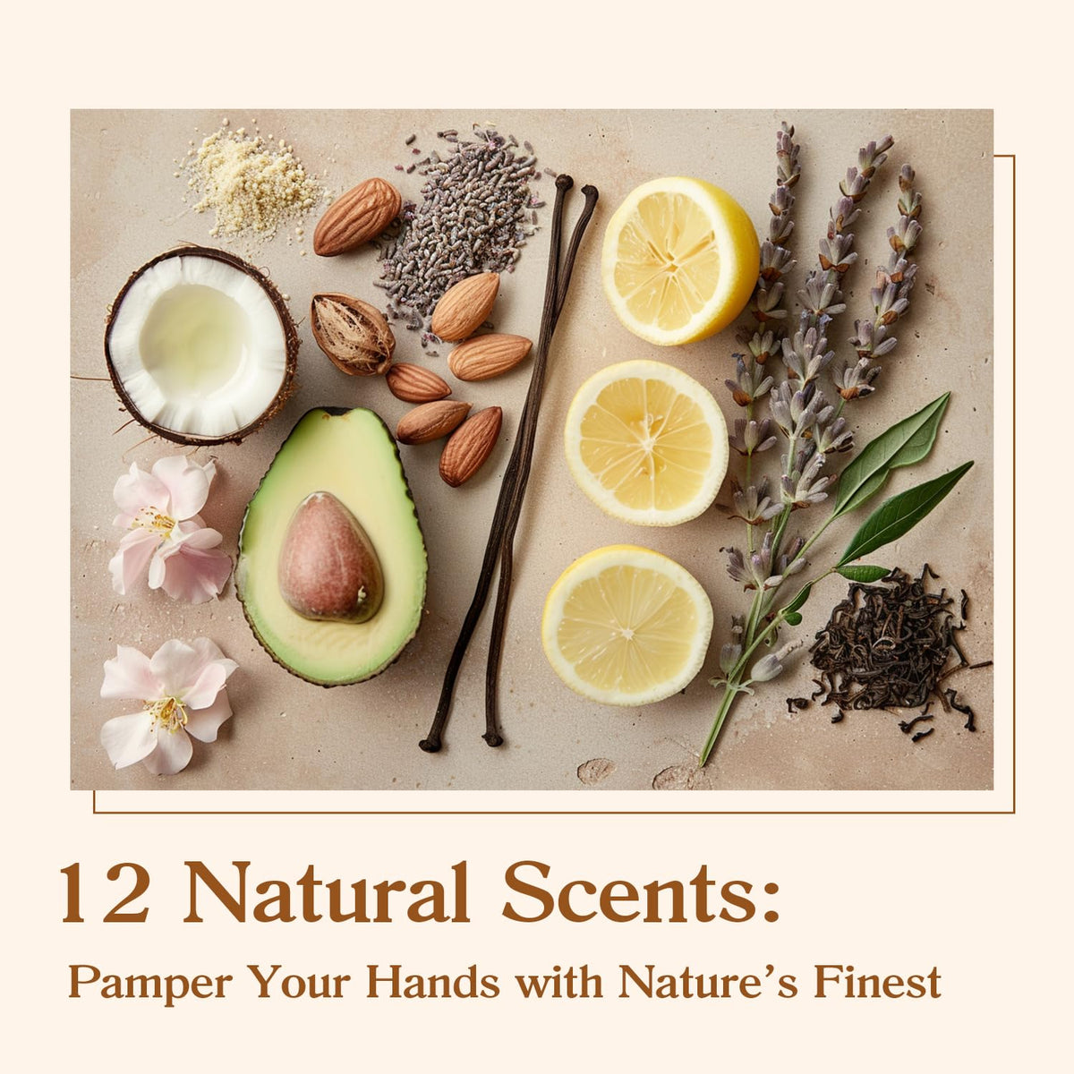 Body and Earth Love non-greasy quick-absorb hand lotion suitable for all skin types.