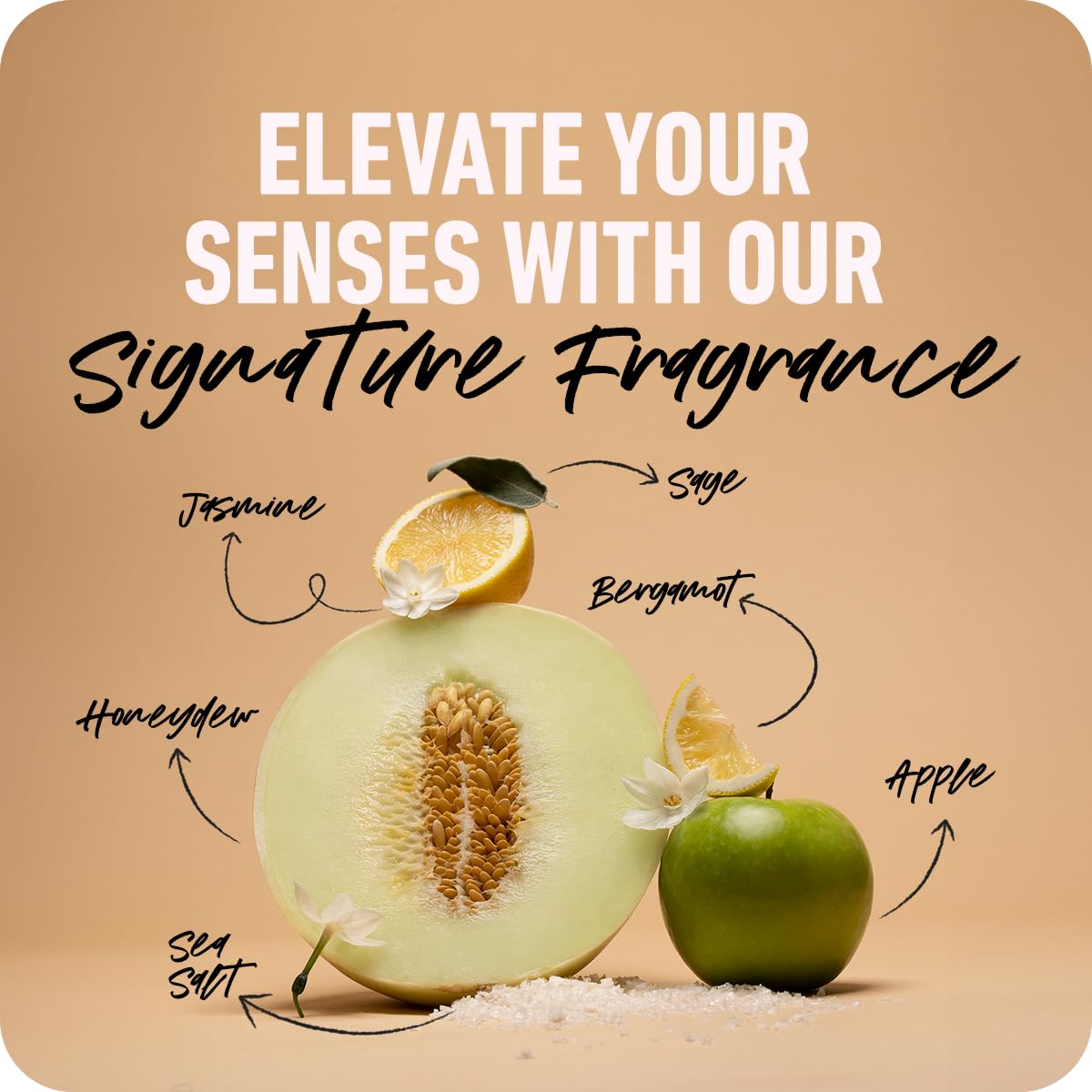 Boldify Dry Shampoo Spray rice starch graphic illustrating oil absorption at roots