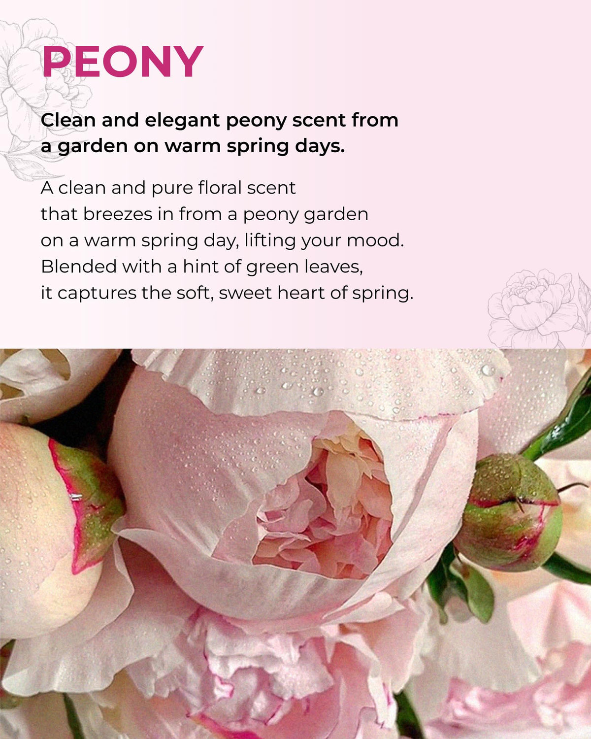 BOM Peony Garden Body Mist with hyaluronic acid for lasting hydration.