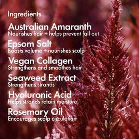 BONDIBOOST ingredients highlight hyaluronic acid and collagen for nourished strands.