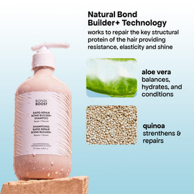 BondiBoost Rapid Repair Australian Queensland Nut ingredient graphic suggesting nourishment