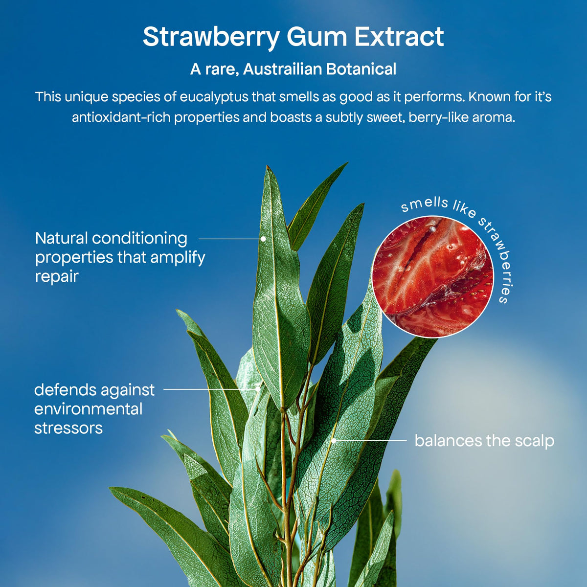 BONDIBOOST Strawberry Gum Hair Mask applied to hair lengths.