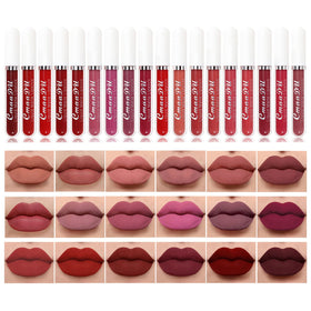 Bonnie Choice 18-color matte lipstick set swatches for versatile everyday looks.