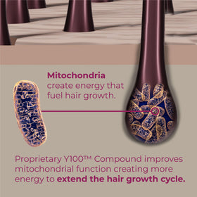 BosleyMD Drug-free hair thinning solution promotes safe, non-prescription care options.