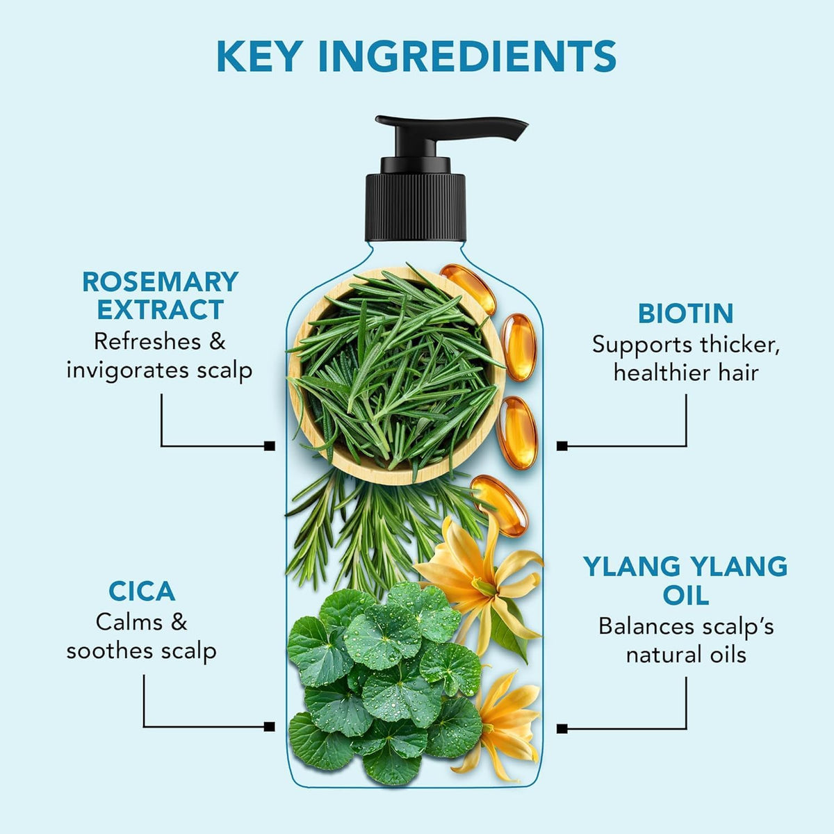Botanic Hearth Rosemary Shampoo bottle on sink illustrates sulfate-free daily wash for all hair types.